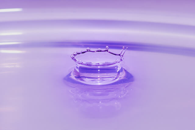 Macro Shots